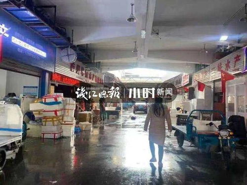浙籍奥运冠军同款 鲜掉眉毛的东海梭子蟹 带鱼最快3日凌晨到杭州