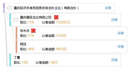 重庆延亦丰商务信息咨询合伙企业 有限合伙
