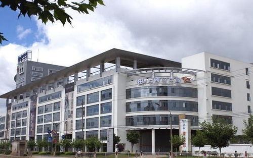 昆明彩之韵商务信息咨询 专业服务助您商务腾飞