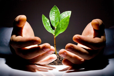 广东规模领先的广州婚姻咨询公司——清意雅素商务服务