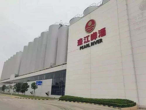 南沙崛起 广州下一个琶醍，商务信息咨询新机遇