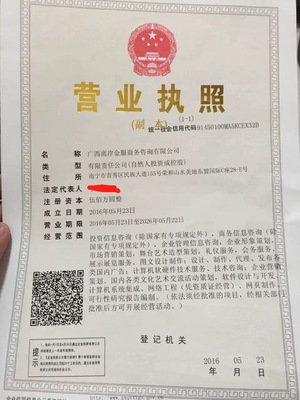 广西商务咨询与商务信息咨询 区域经济腾飞的智慧引擎
