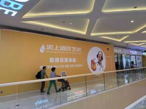 再曝内幕 每年收租1.8亿却要付3亿利息,太阳新天地被拍卖背后...